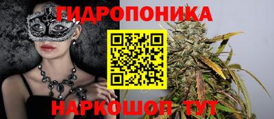 кокс Будённовск