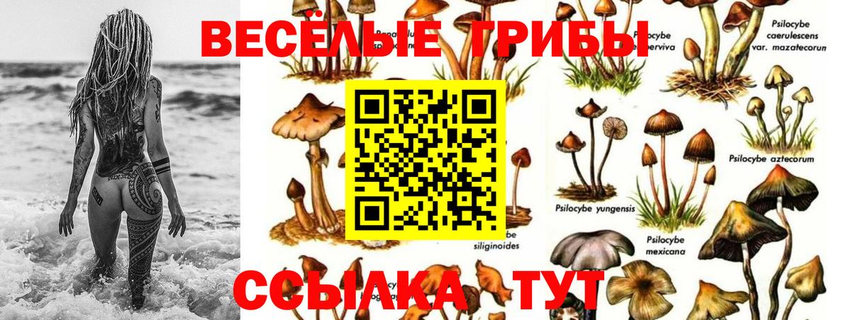 Галлюциногенные грибы прущие грибы  Галлюциногенные грибы Psilocybe  закладки  Вход с VPN  Солнечногорск 